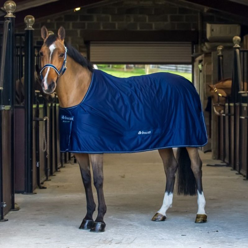 Bucas Shamrock, Mini