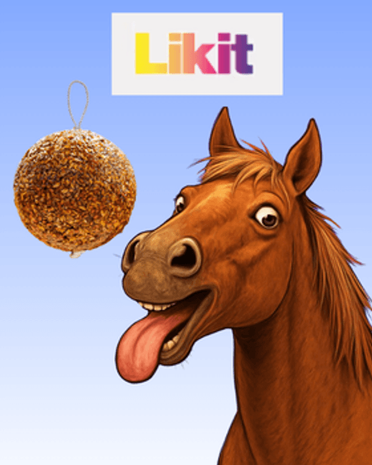 Hovedbilde Likit Granola Ball