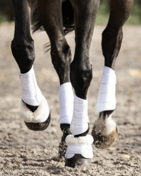 Hovedbilde Belegg / Kopper