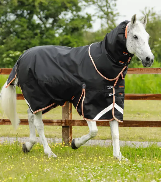 Premier Equine, Titan 300 Gram Snug Fit