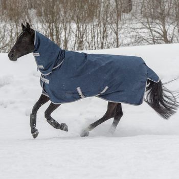 Bucas Utedekken Vinter