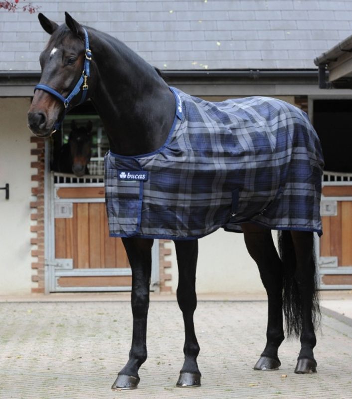 Bucas Celtic Stable Extra