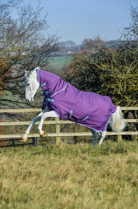 Hovedbilde Bucas Freedom Regndekken Fullneck 0 Gram, Lilla