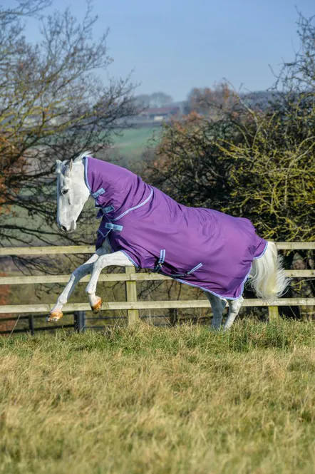 Hovedbilde Bucas Freedom Regndekken Fullneck 0 Gram, Lilla