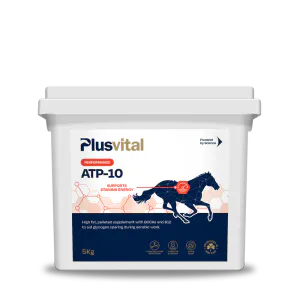 Hovedbilde PlusVital ATP 10 