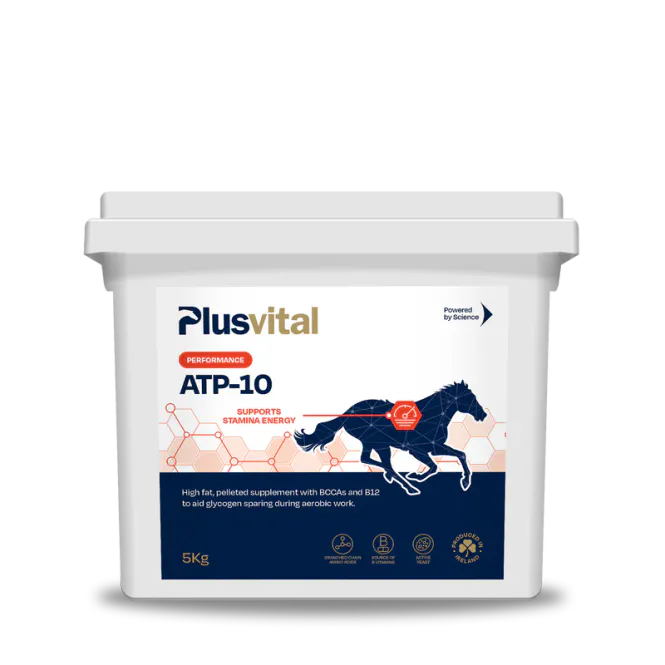 Hovedbilde PlusVital ATP 10 