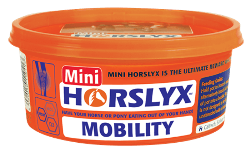 Horslyx Slikkesten