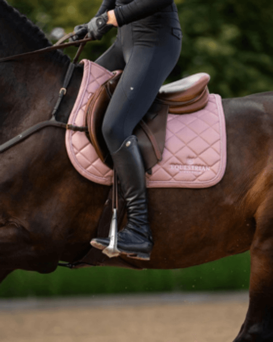 Hovedbilde Equestrian Stockholm, Pink Shabrak