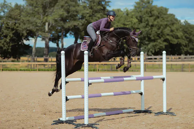Hovedbilde Equestrian Stockholm, Jump Ridebukse, Grå