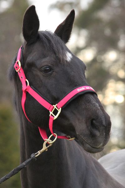 Back On Track Grime Werano