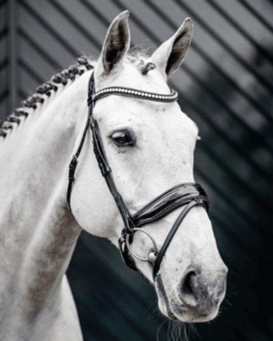 Hovedbilde Horseware Diamante Flash Hodelag