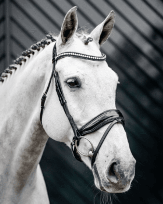 Horseware Diamante Flash Hodelag