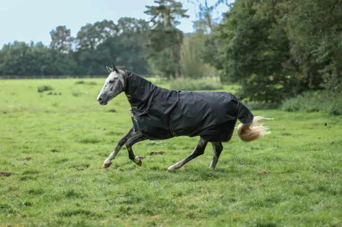 Hovedbilde Bucas Irish Turnout 50 Gram + Hals