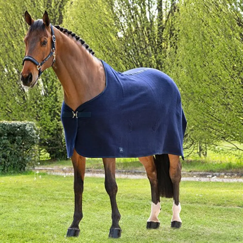 Equiline Wool Rug