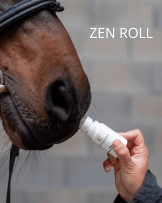 Hovedbilde CE Zen Roll Deo 