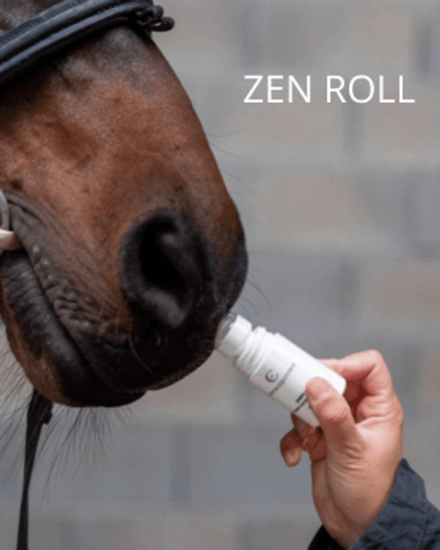 CE Zen Roll Deo 