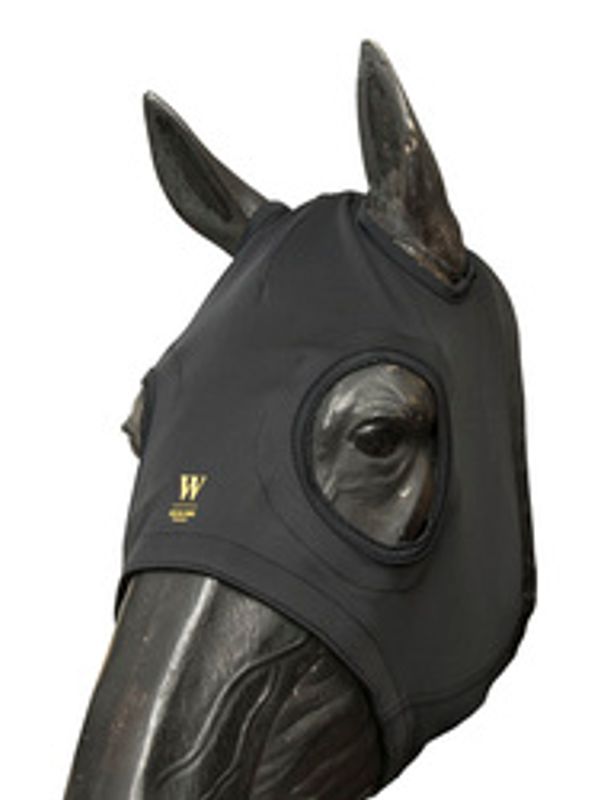 Wahlsten Titanium Face Hood