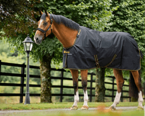 Hovedbilde Bucas Irish Turnout