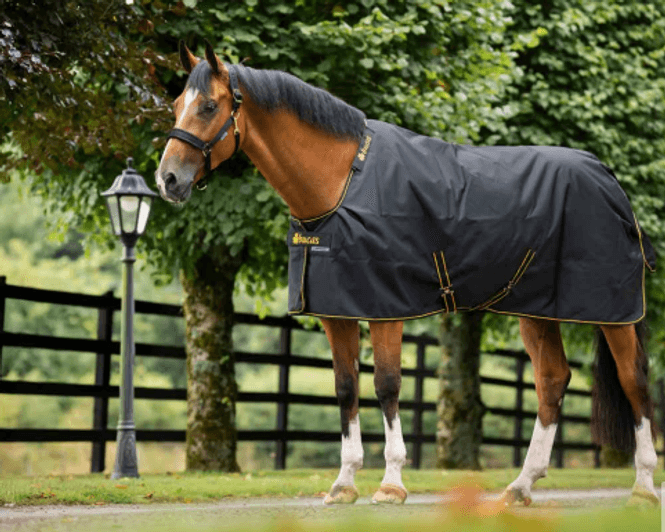 Hovedbilde Bucas Irish Turnout