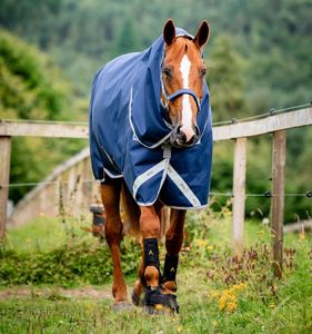 Hovedbilde Horseware Amigo Bravo Plus Turnout 250 Gram ...