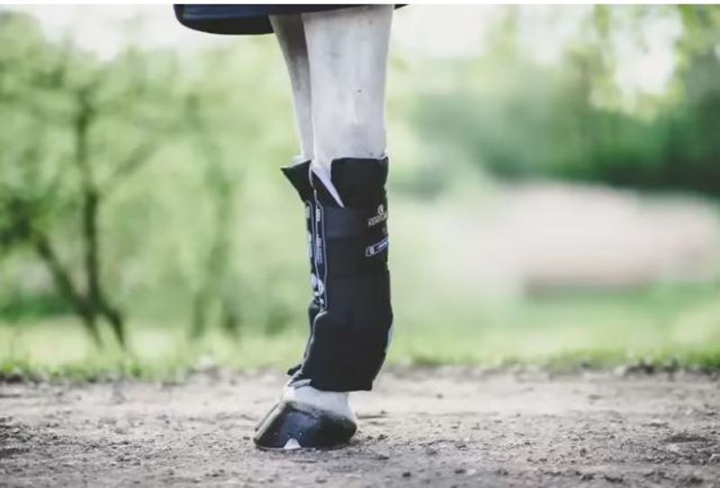 Kentucky Magnetic Stable Boots Recuptex