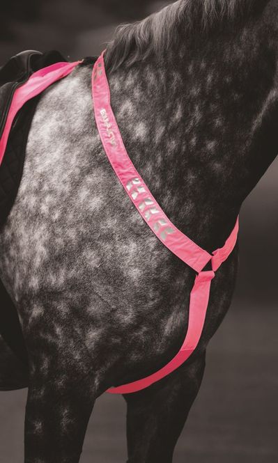 Hovedbilde Shires Equi-Flector Breastplate 