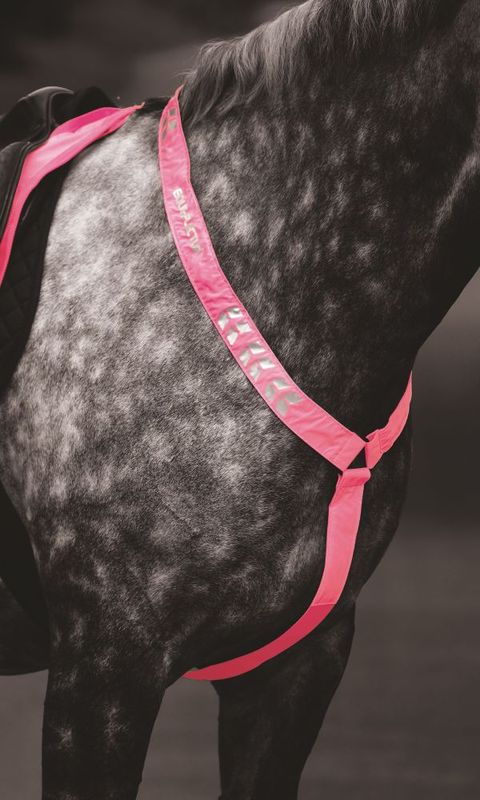 Shires Equi-Flector Breastplate 